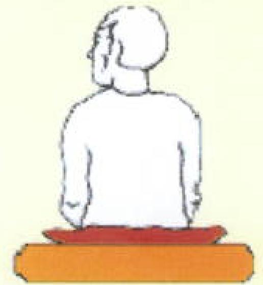 NEU002 E.png