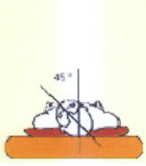 NEU002 F.png