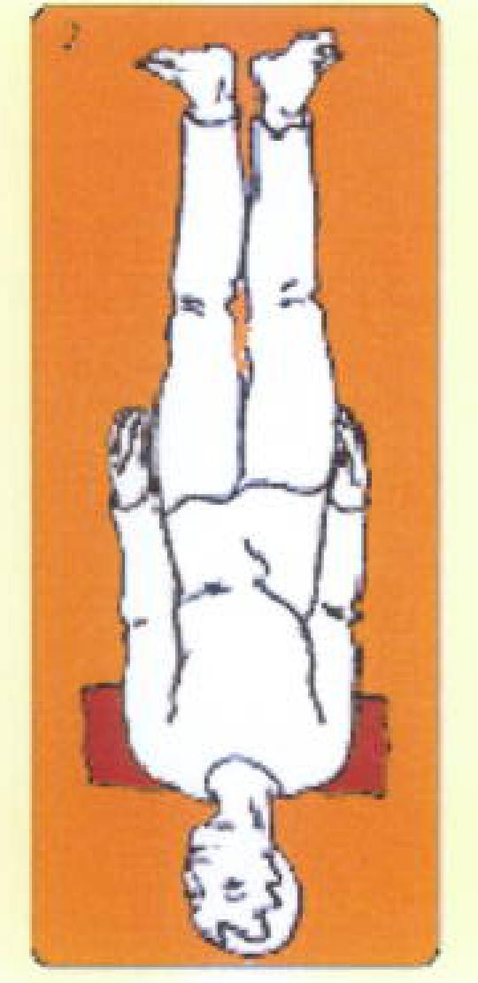 NEU002 G.png