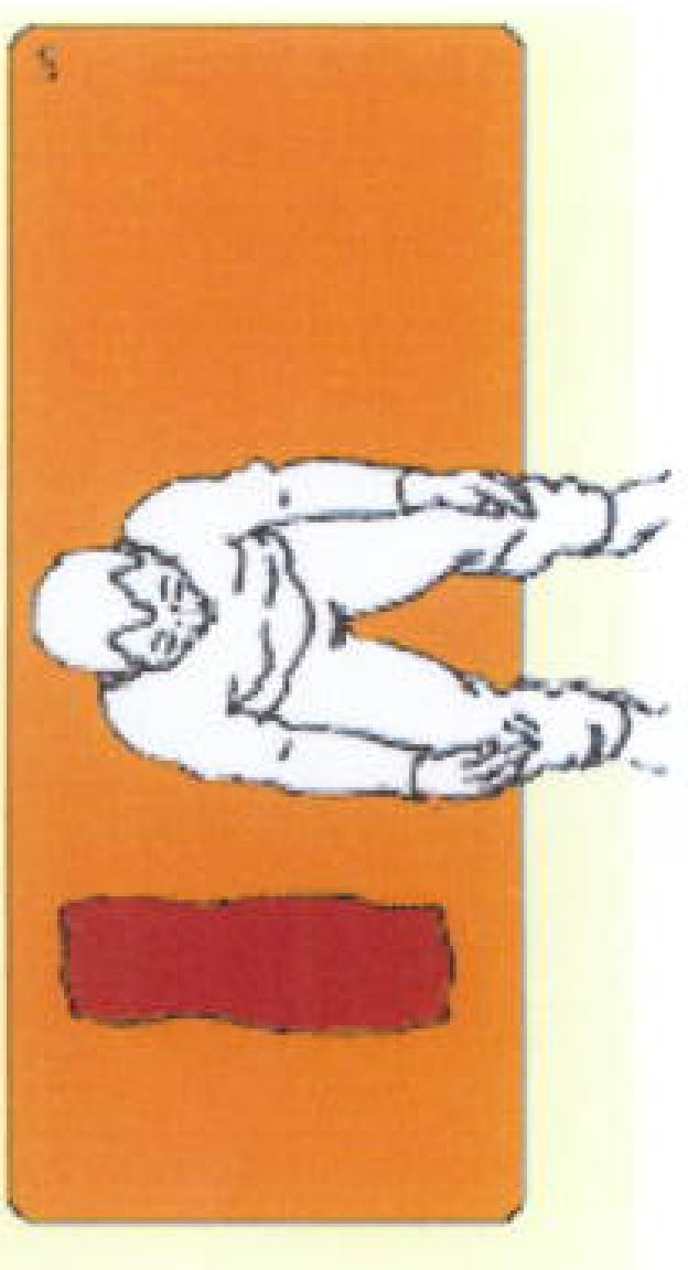 NEU002 L.png