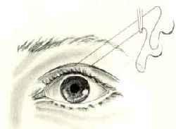 OOG001 E.png