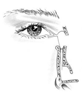 OOG021 B.jpg