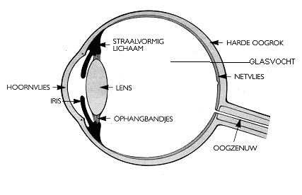 OOG023 A.png