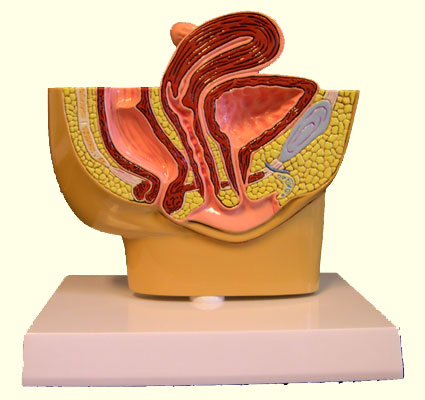 URO005 A.jpg