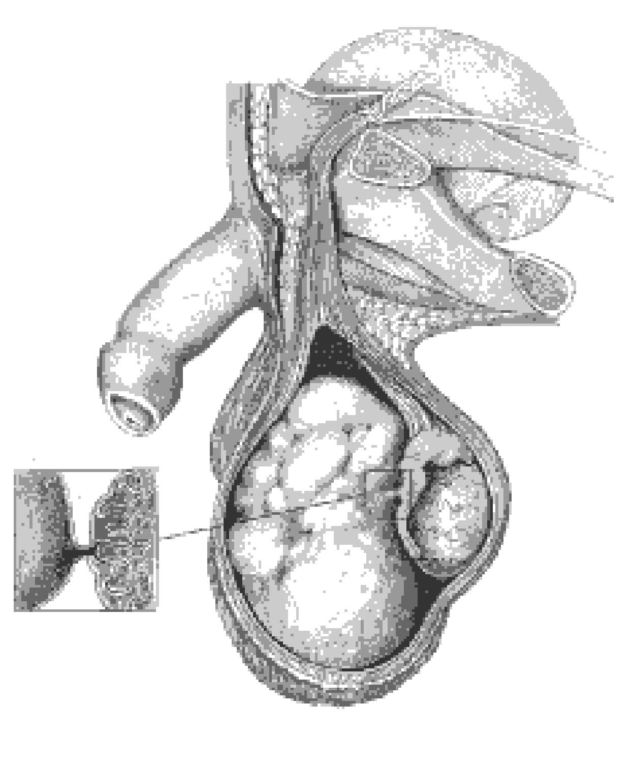 URO048 B.png