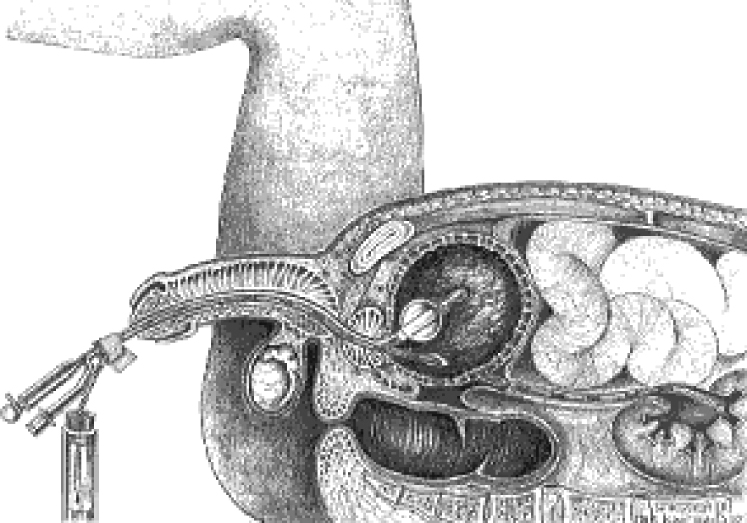 URO058 A.jpg